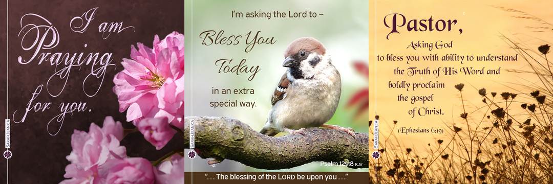 Assure others of the power of prayer and your prayers for them through free prayer ecards, images of beautiful pink flowers, bird on branch and field flowers blowing in the wind.