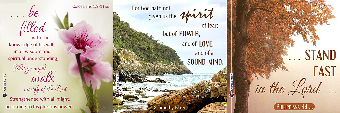 New Testament ecard samples with flowers, mountain and tree.