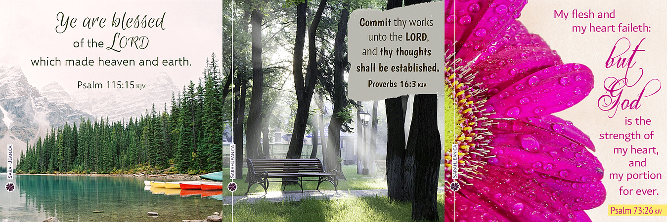 Share free comforting eCards with messages from the Psalms & Proverbs, images of boats in water near trees and mountains, bench in trees with sun rays shinning down,  lovely pink flower.