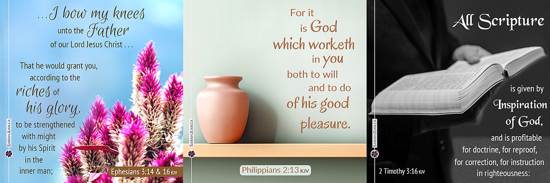 Share free eCards with encouraging messages about God's love and teachings for life from the New Testament, images of pink flowers, vase on a shelf and man reading from the bible.