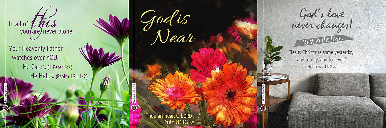 Share free ecards that encourage others as they draw attention to God's character and His faithful promises, images of dark purple flowers in a field, bright pink flowers, and plant by grey couch.
