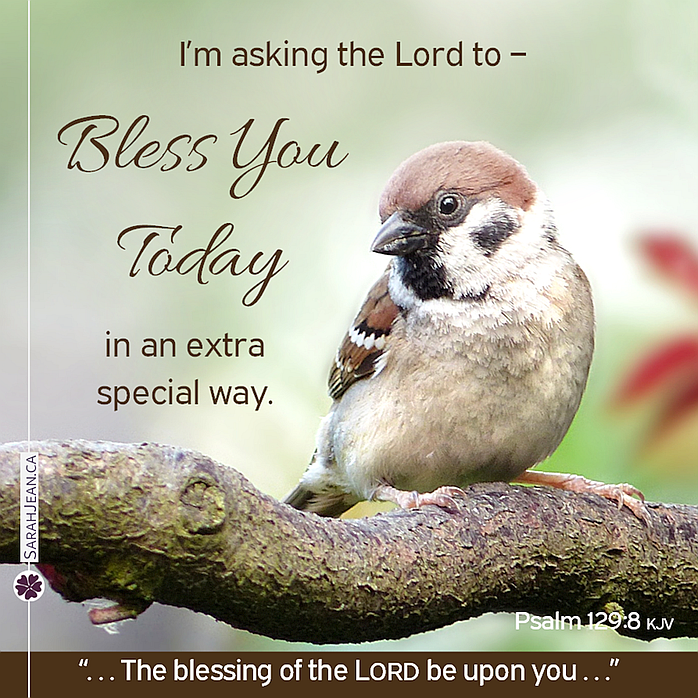 Free SarahJean Prayer eCard with a Christian message entitled 'Bless You Today'. Image of a bird sitting on a branch.