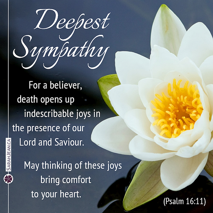 Sympathy General Occasions eCard with a large white water lily.