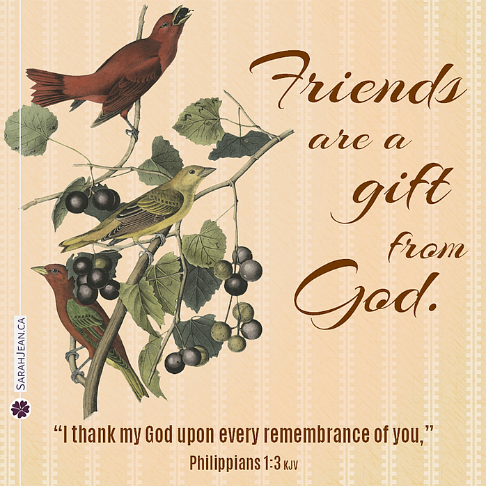 Free SarahJean Friendship eCard with a Christian message entitled 'Friends Are A Gift'. Image illustration of birds in branches with berries.