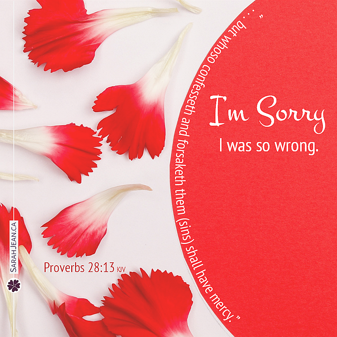Free SarahJean I'm Sorry eCard with a Christian message entitled 'I Was So Wrong'. Image of mini red buds scattered. 