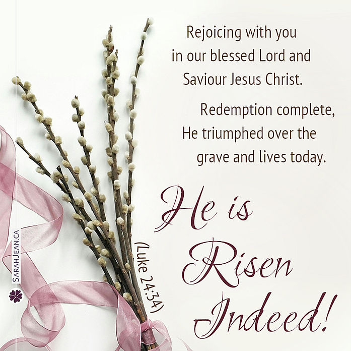 Free SarahJean Easter eCard with a Christian message entitled 'Risen Indeed'. Image of long stems with many flower buds and pink ribbon.