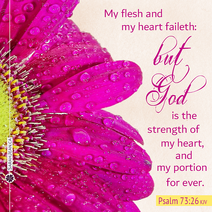 Share free comforting eCards with messages from the Psalms & Proverbs, image of
lovely pink flower.