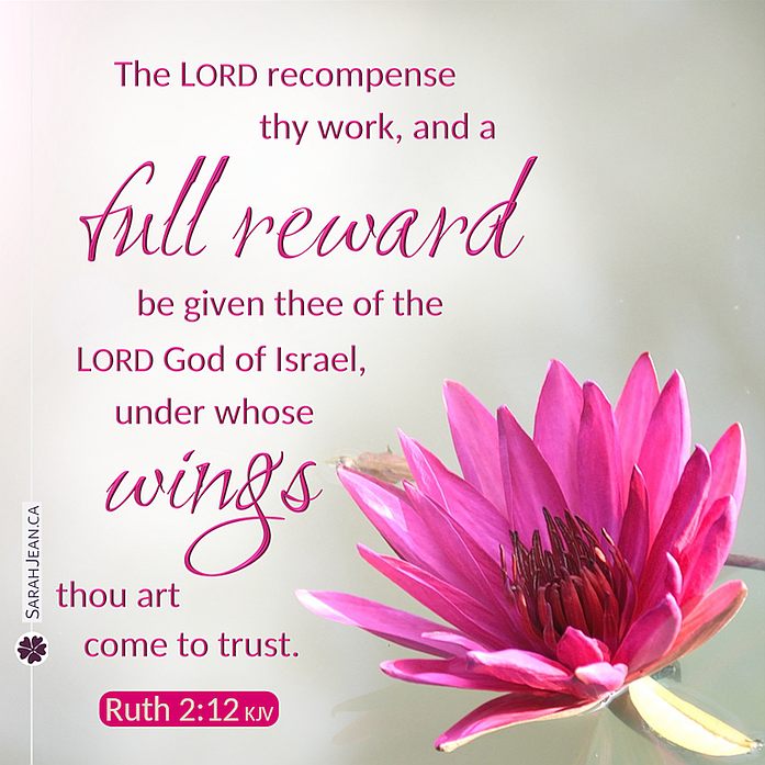 Old Testament Simply Scripture eCard with a bright pink flower.