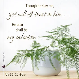 Scripture eCard titled 'Yet Will I Trust' with Job 13:15-16. Image of a pour looking vine plant.