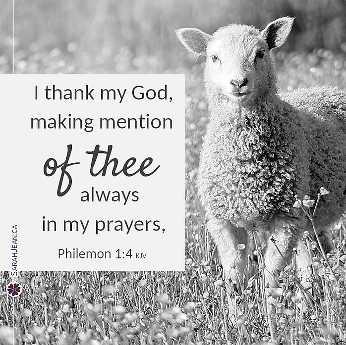 New Testament Simply Scripture eCard with a sheep standing in a field of flowers.