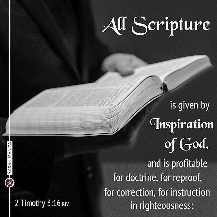 eCard with man holding open Bible with message of 2 Timothy 3:16