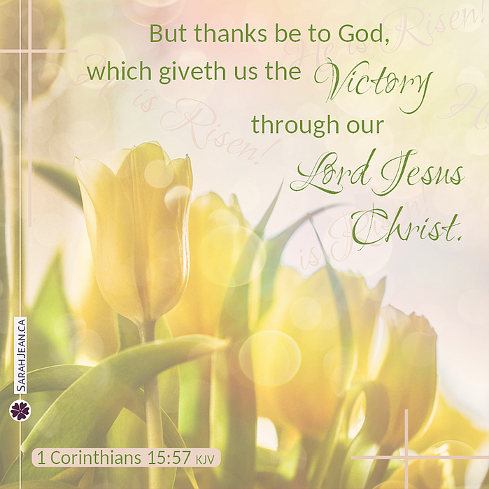 Free Scripture eCard with the message of 1 Corinthians 15:57, image of yellow tulips.