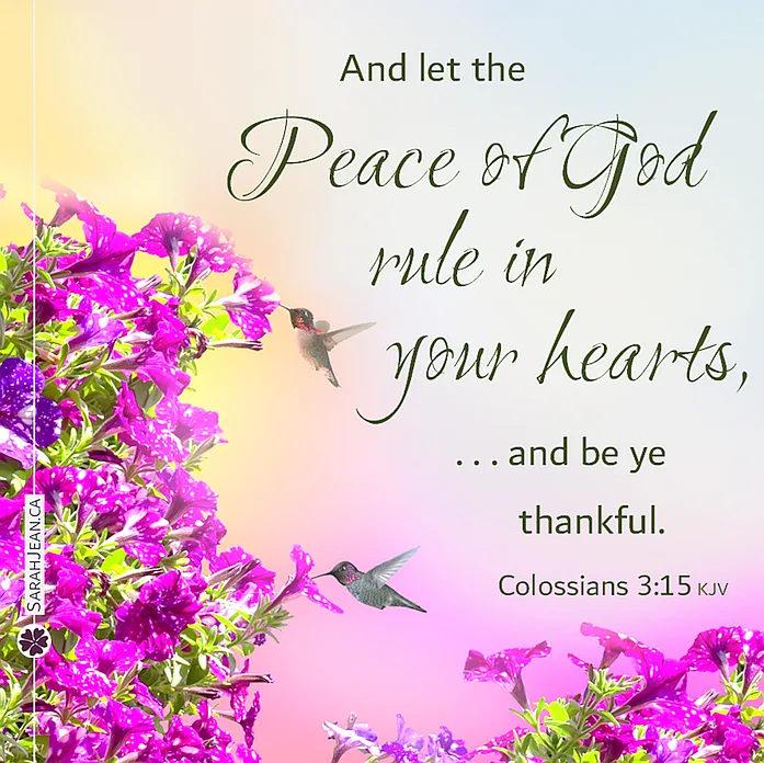Scripture eCard entitled 'Peace Of God' with Colossians 3:15. Image of humming birds with pink flowers.