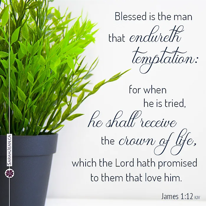 Scripture eCard entitled 'Crown Of Life' with James 1:12. Image of a green plant in a dark pot.