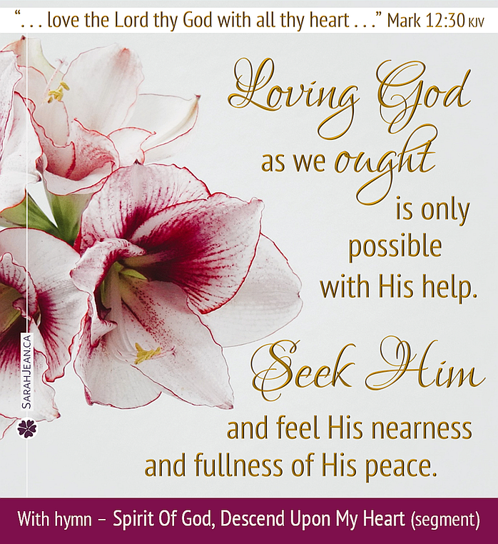 Enjoy these Songs of the Soul eCards with complete instrumental Christian songs in personal worship or share them with others when you want to say more, image of elegant pink and white flowers.