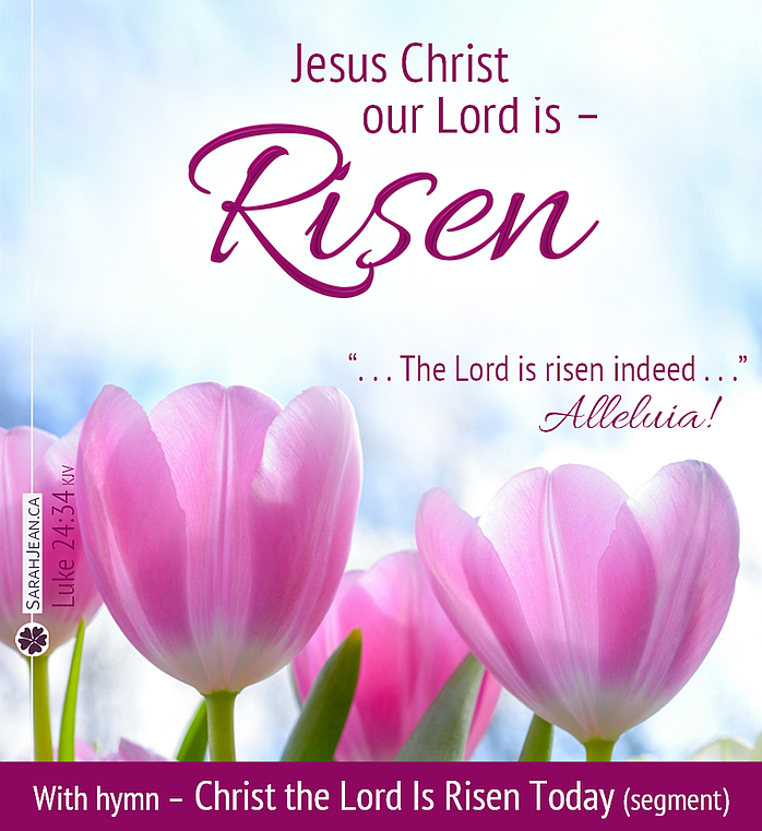 Free SarahJean Songs of the Soul eCard with a Christian message entitled 'Risen'. Image of pink tulips and blue sky.