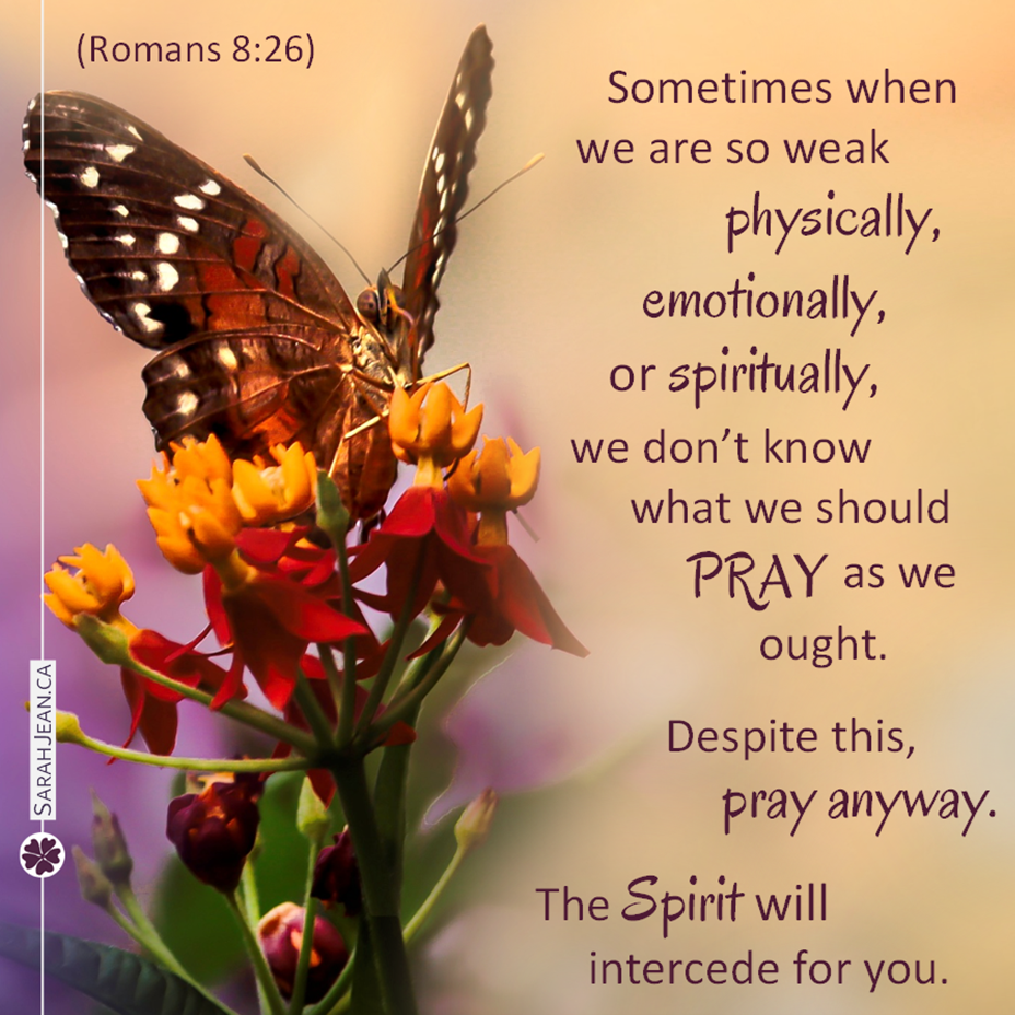 Assure others of the power of prayer and your prayers for them through free prayer ecards, image of turquoise background with mini white flowers.