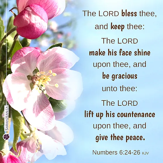 Free SarahJean, Simply Scripture eCard. Image: Apple blossoms with text of  Numbers 6:24-26.