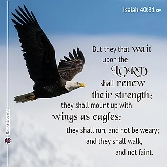 Scripture eCard entitled 'Wings as Eagles' with Isaiah 40:31. Image here of an eagle flying high in the sky.