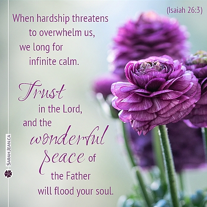 Free SarahJean Difficult Times eCard with a Christian message entitled 'Wonderful Peace'. Image of brilliant pink flowers.