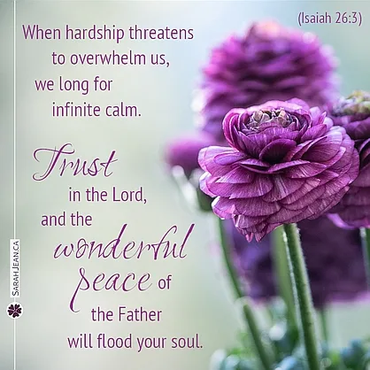 Free SarahJean Difficult Times eCard with a Christian message entitled 'Wonderful Peace'. Image of brilliant pink flowers.