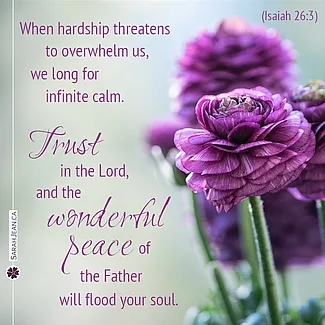 Free SarahJean Difficult Times eCard with a Christian message entitled 'Wonderful Peace'. Image of brilliant pink flowers.