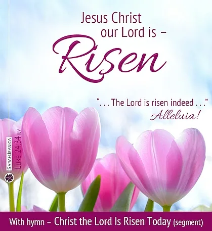 Free SarahJean Songs of the Soul eCard with a Christian message entitled 'Risen'. Image of pink tulips and blue sky.