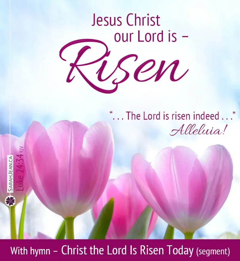 Free SarahJean Songs of the Soul eCard with a Christian message entitled 'Risen'. Image of  pink tulips and blue sky.
